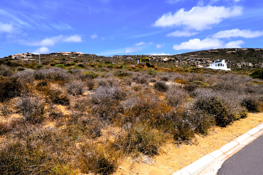 0 Bedroom Property for Sale in Steenbergs Cove Western Cape